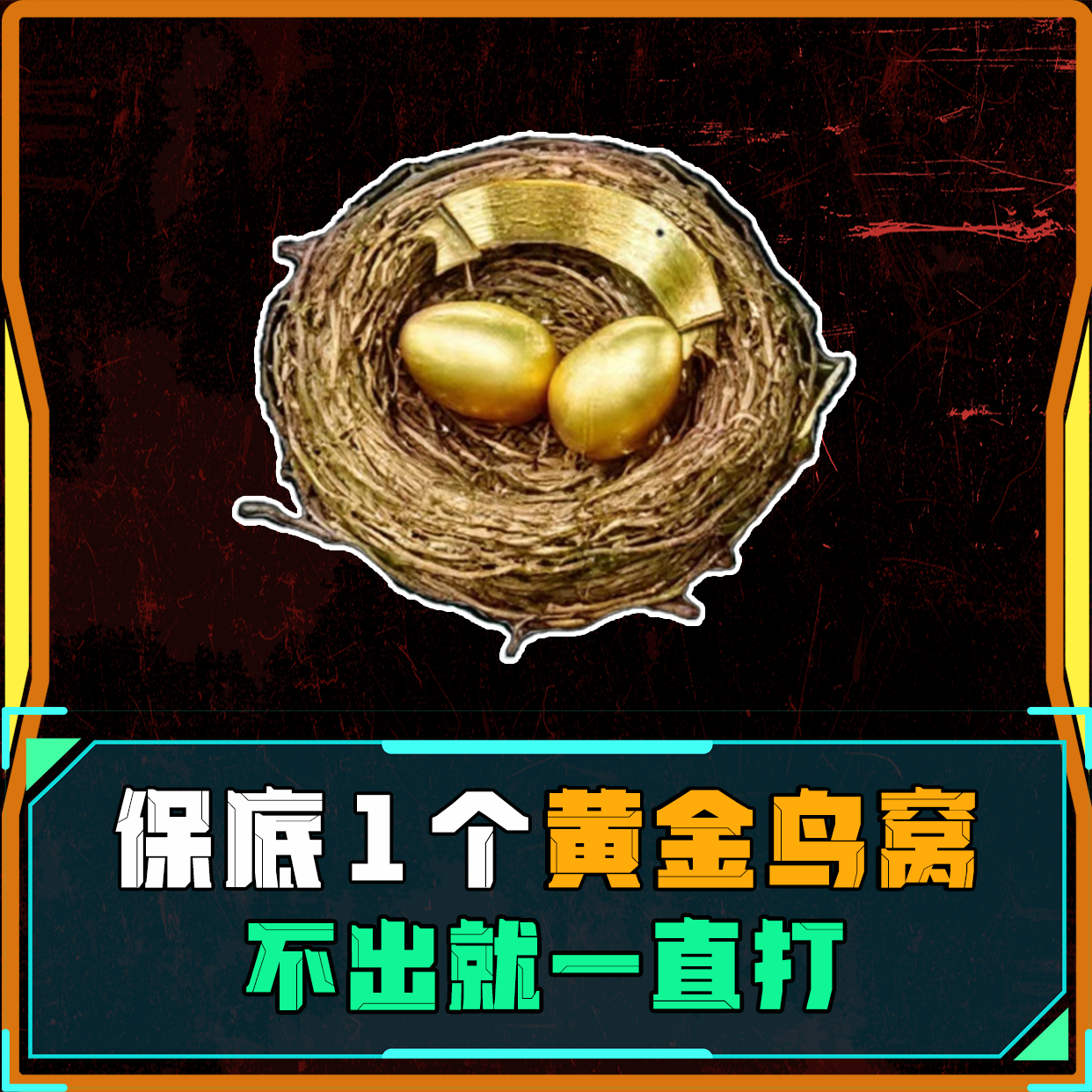星期天福利单丨必出黄金鸟窝